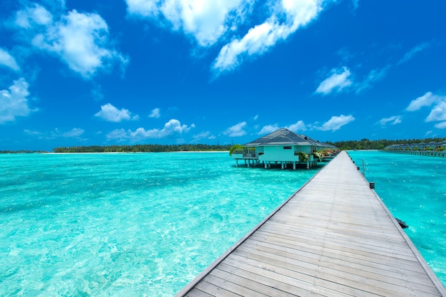 사진 하얀 모래 해변과 바다와 열 대 몰디브 섬