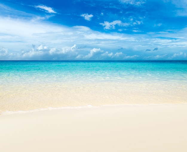 写真 白い砂浜と熱帯のビーチの海と熱帯のモルディブの島