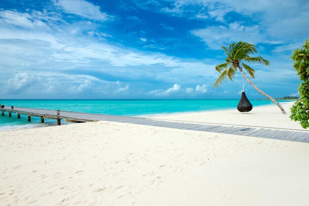 Tropical Maldives island with white sandy beach and sea palm