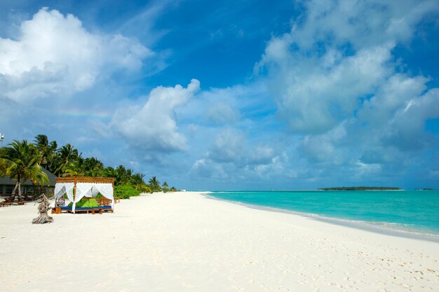 Тропический остров Мальдивы с белым песчаным пляжем и морской ладонью