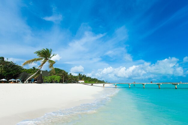 Tropical Maldives island with white sandy beach and sea