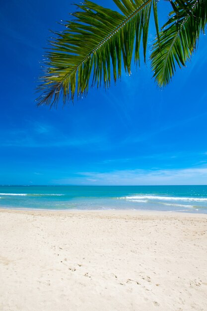 Tropical Maldives island with white sandy beach and sea