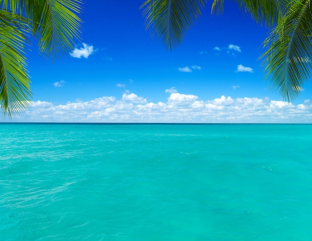 Tropical Maldives island with white sandy beach and sea