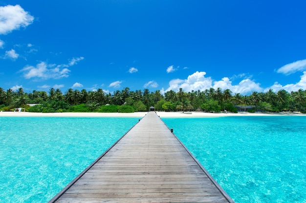 Tropical Maldives island with white sandy beach and sea