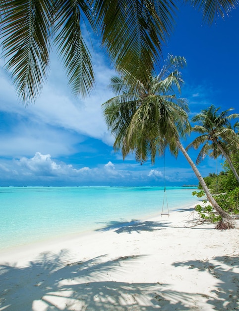하얀 모래 해변과 바다가 있는 열대 몰디브 섬