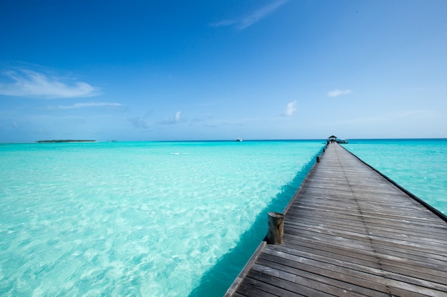 Тропический остров Мальдивы с белым песчаным пляжем и морем