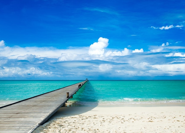 Tropical Maldives island with white sandy beach and sea