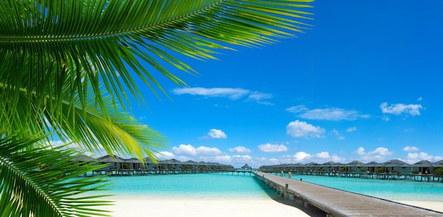 하얀 모래 해변과 바다와 열 대 몰디브 섬