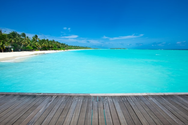 Tropical Maldives island with white sandy beach and sea