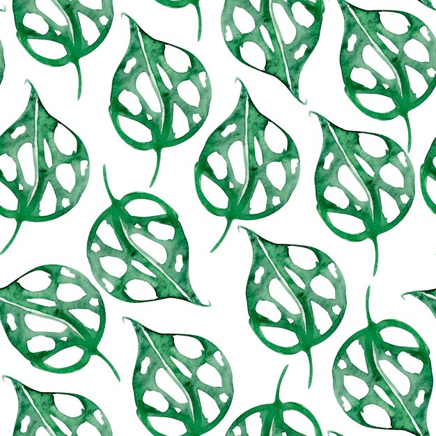 Tropical monstera leaf watercolor seamless pattern