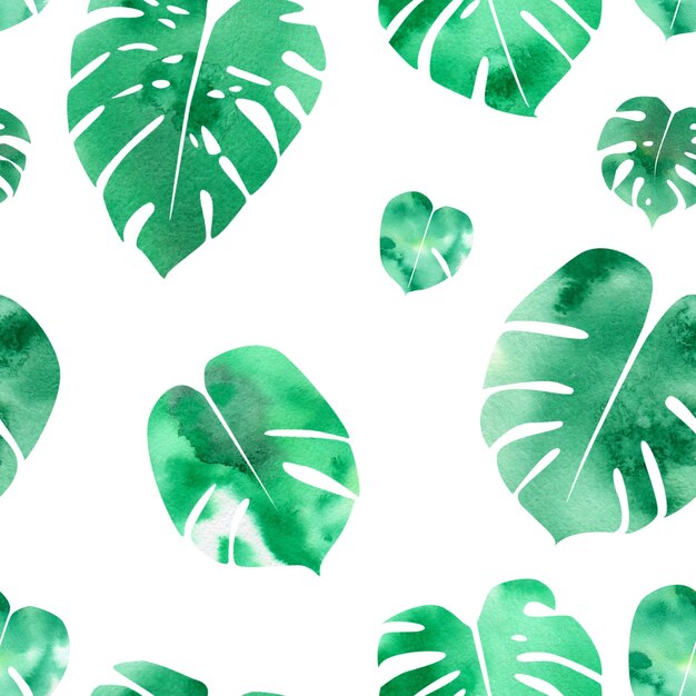 Tropical monstera plant semless pattern