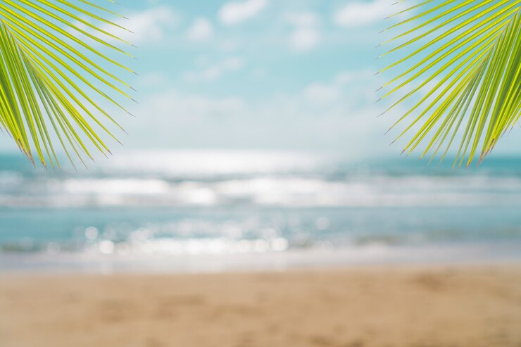 Tropical nature clean beach and white sand in summer with sun light blue sky and bokeh background.