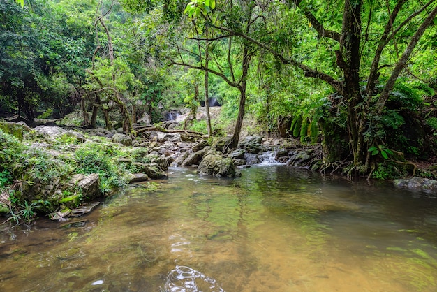 Tropical nature in sarika waterfall at nakhon nayok, Thailand