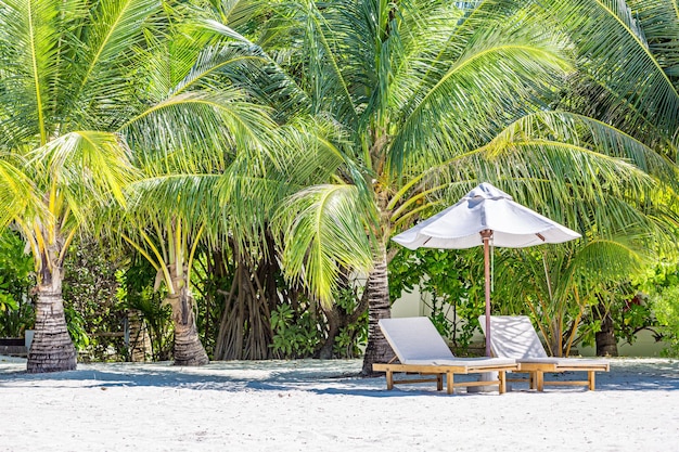 Тропическая природа, пара шезлонгов, зонтики, пальмы с белым песком, солнце. Экзотический вид путешествия