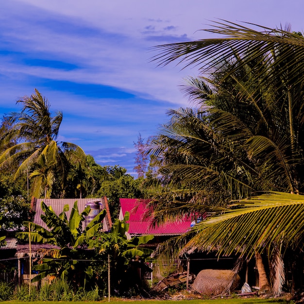 Foto natura tropicale. vietnam. atmosfera da vacanza al mare