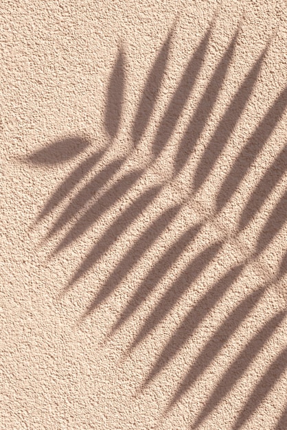Tropical palm branch with shadow on a beige grunge cement wall brown cream natural texture abstract background summer wallpaper minimal concept template with beauty decor beach grain pattern