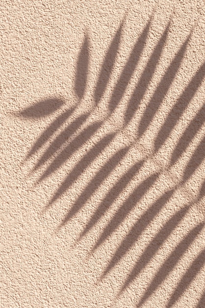 Tropical palm branch with shadow on a beige grunge cement wall brown cream natural texture Abstract background Summer wallpaper minimal concept Template with beauty decor beach Grain pattern