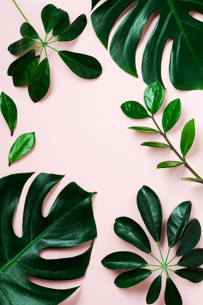 Photo tropical palm leaf frame on pink background with copy space. flat lay. top view. summer or spring nature concept.