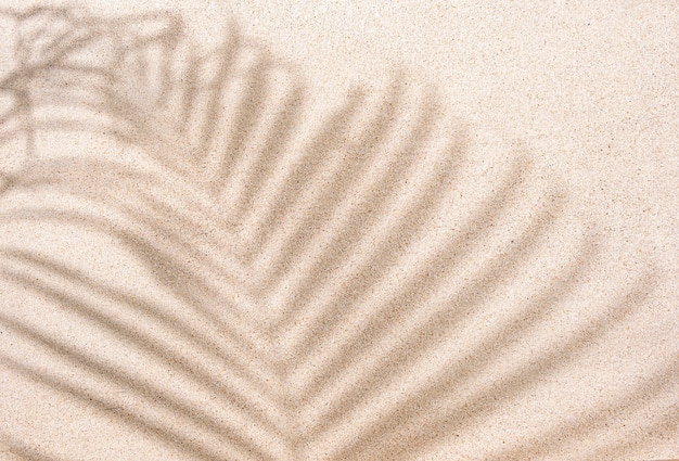 Tropical palm leaf shadow on sand background, copy space, top view