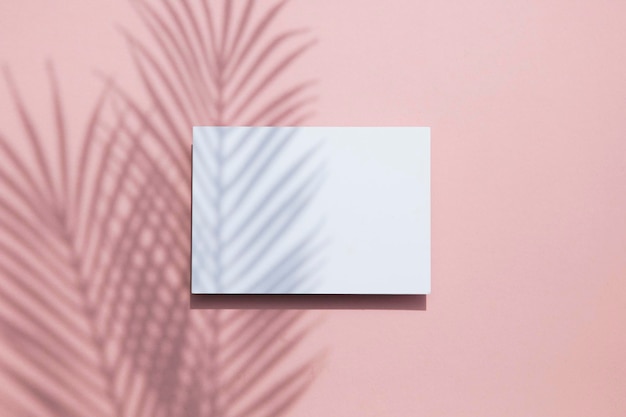 Tropical palm leaf shadow on a white card frame Exotic summer background