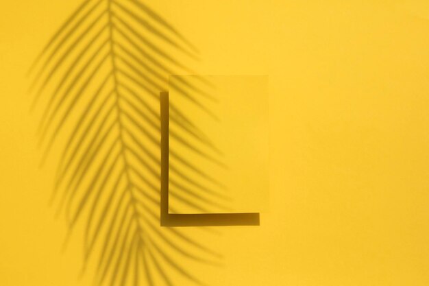 Tropical palm leaf shadow on a yellow blank label Exotic summer background