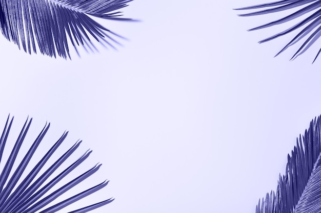 Tropical palm leaves background vacation summer holiday concept