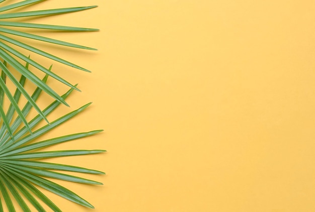 Tropical palm leaves side frame on yellow background