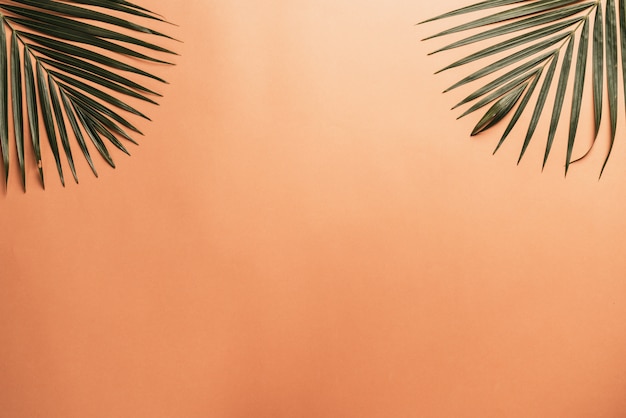 Tropical palm leaves with copy space