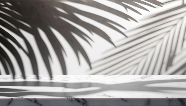 Tropical palm shadow on white wall and luxury marble table for spa product placement