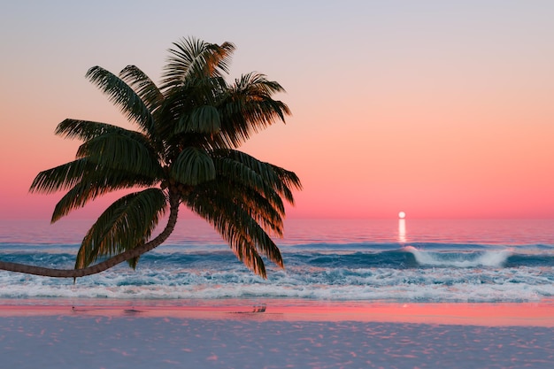 Photo tropical palm tree on beach at sunset