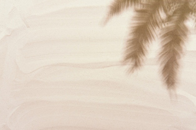 Тропическая пальма оставляет тени на золотисто-белом песке