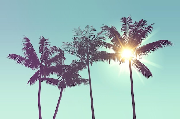 Tropical palm tree silhouette against bright sunlight d rendering