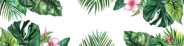 Una palma tropicale con foglie verdi su uno sfondo bianco