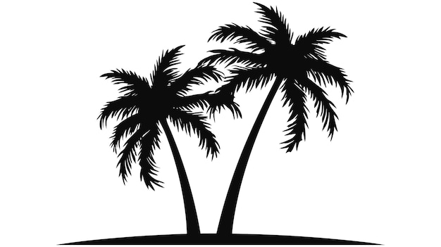 Photo tropical palm trees black silhouettes and outline contours on white background vector illustration