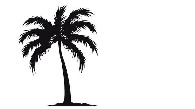 Tropical palm trees black silhouettes and outline contours on white background Vector illustration