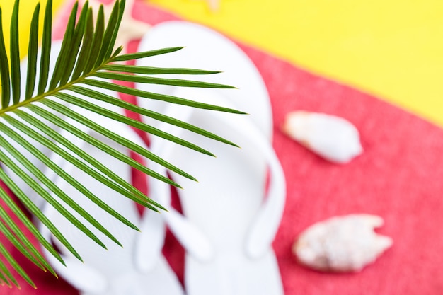 Tropical  Palm Trees Branches with blurred Set of Woman's Things Accessories to Beach Season.