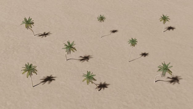 Sfondo minimalista di palme tropicali stile di moda alla moda design minimalista con rendering 3d