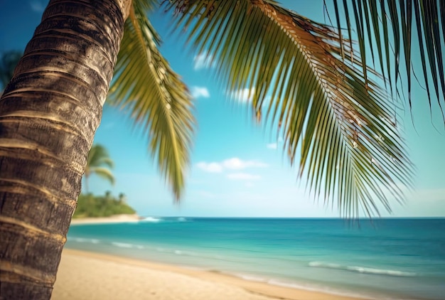 tropical palmtree beach view over turquoise ocean and blue sky in the style of framing