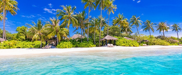Тропический райский пляж Летний берег пальмы волны спокойное море небо Роскошное место для отдыха