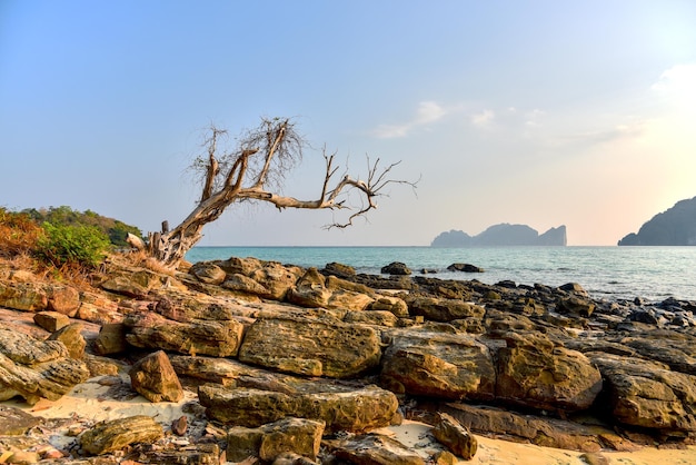 Tropical paradise beach Thailand seascape lagoon