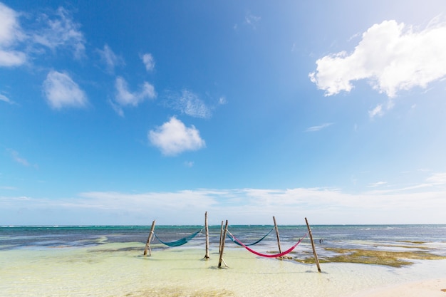 Тропический райский пляж с пальмами и традиционным плетеным гамаком