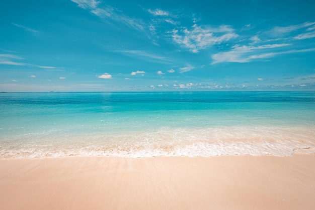 Tropical paradise beach with white sand and blue sea water travel tourism wide panorama background