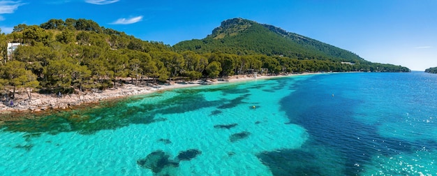 Spiaggia paradiso tropicale con sabbia bianca e palme da cocco