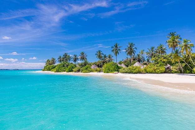 Tropical paradise, exotic beach landscape. Amazing sea lagoon relax sunny sky palm trees coastline