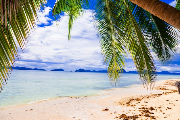 Foto natura paradisiaca tropicale ed esotica bellezza selvaggia dell'isola di palawan magico el nido filippine