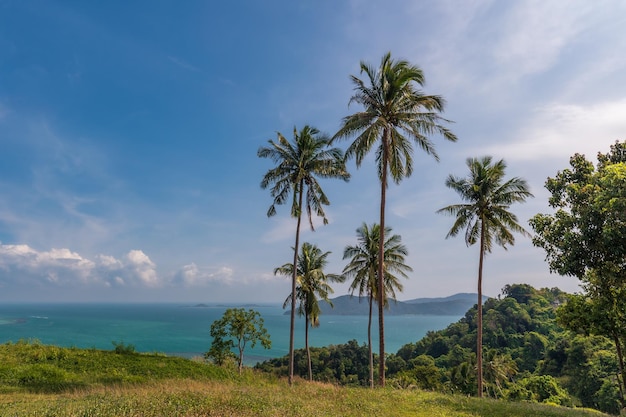 Tropical paradise with tall palm trees on hill top turquoise ocean and islands Samui Thailand