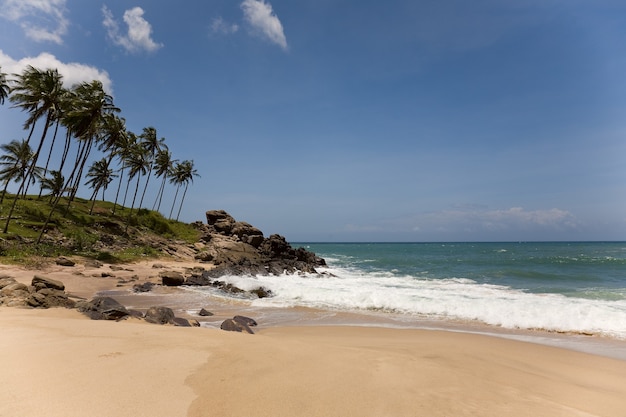 Foto paradiso tropicale con alberi sulla spiaggia contro il cielo blu con nuvole