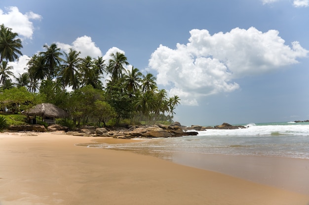 Tropical paradise with trees and house on beach with blue sky and clouds