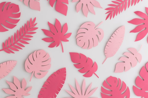 Tropical pink paper leaves on white background