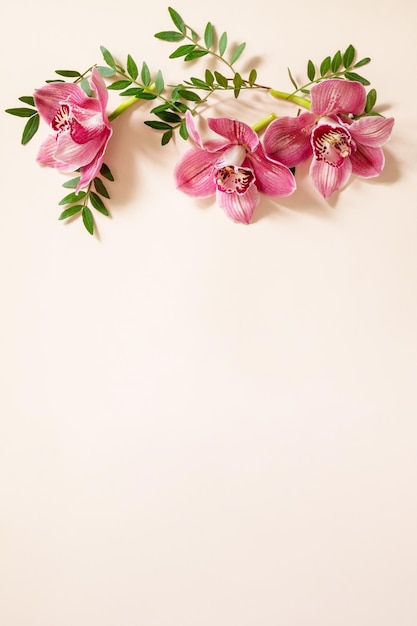 Tropical pink phalaenopsis orchids on a light Pastel background Top view flat lay